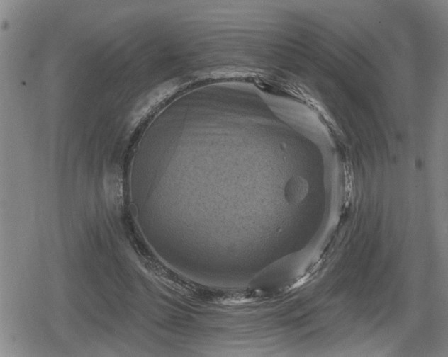 X0000080690348200612221058