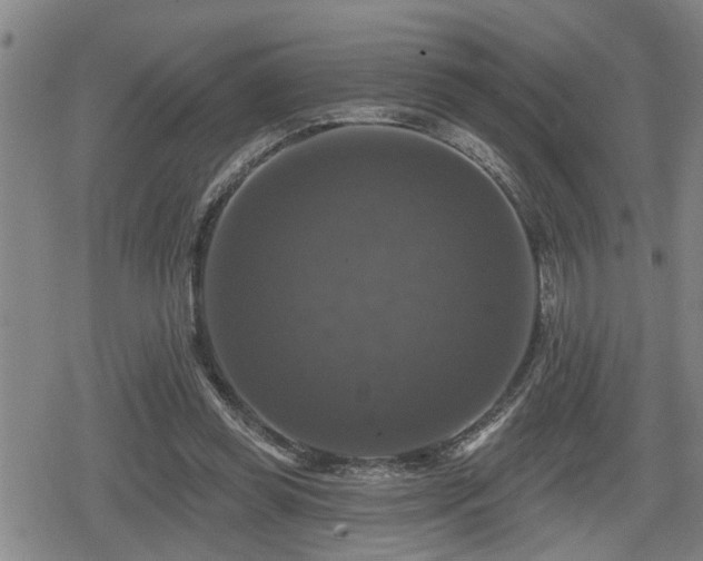 X0000080690349200612221058