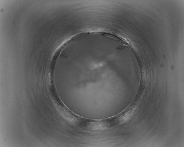 X0000080690351200612221058