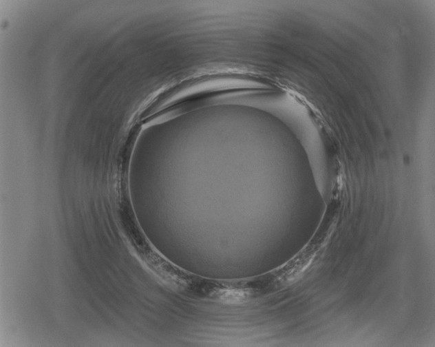 X0000080690352200612221058