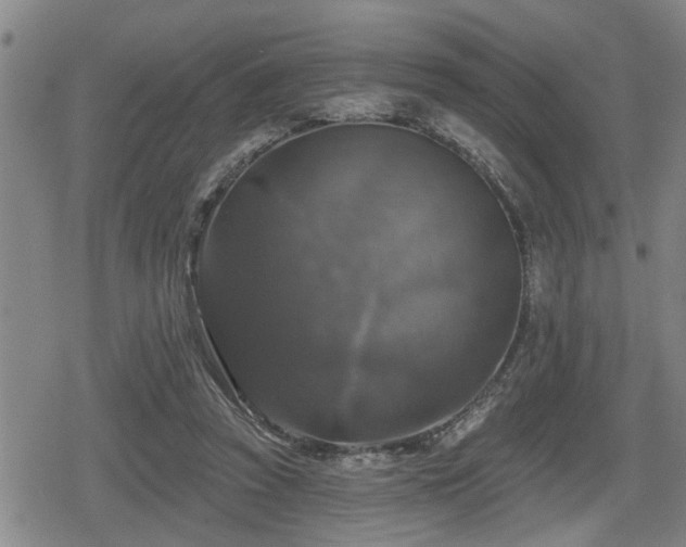 X0000080690353200612221058