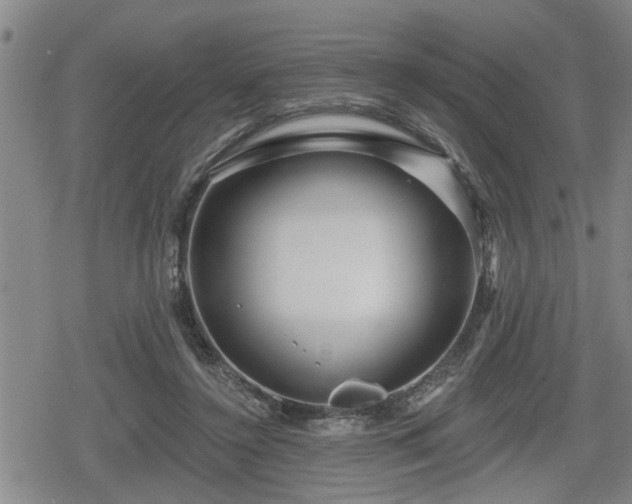 X0000080690356200612221058