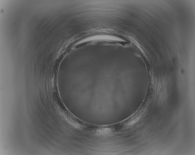 X0000080690357200612221058