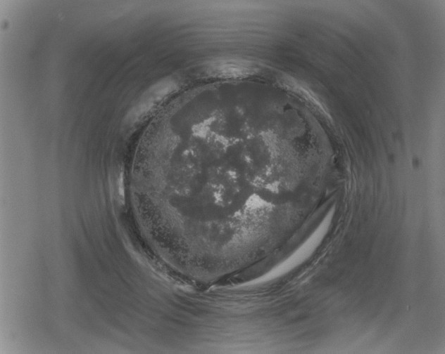 X0000080690358200612221058