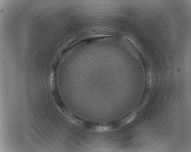 X0000080690360200612221058