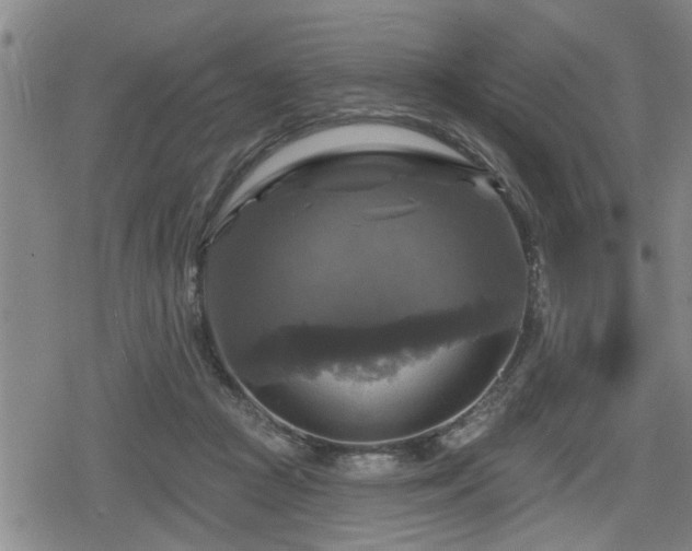 X0000080690361200612221058