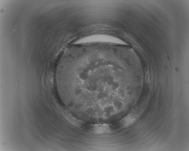 X0000080690363200612221058