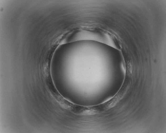 X0000080690364200612221058