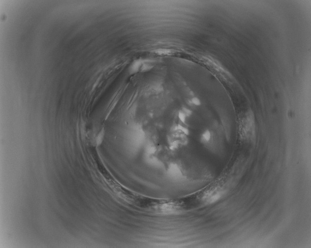 X0000080690365200612221058