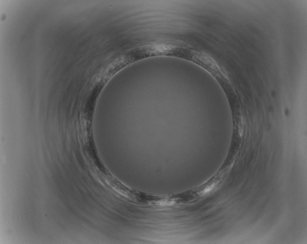 X0000080690366200612221058