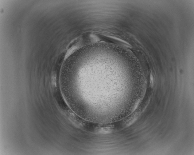 X0000080690368200612221058