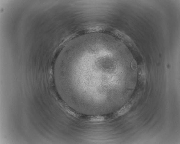 X0000080690369200612221058