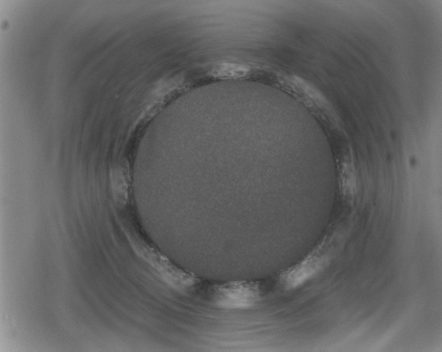 X0000080690370200612221058