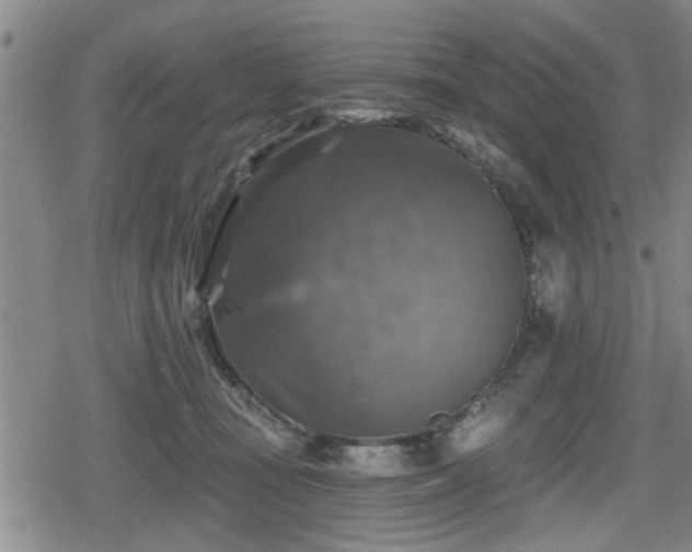 X0000080690371200612221058