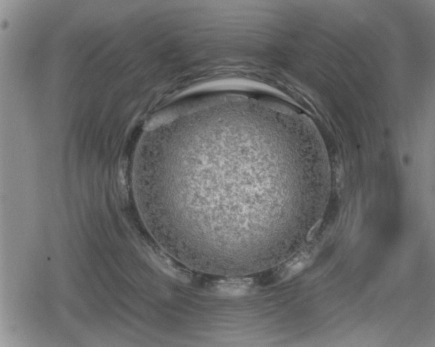 X0000080690373200612221058