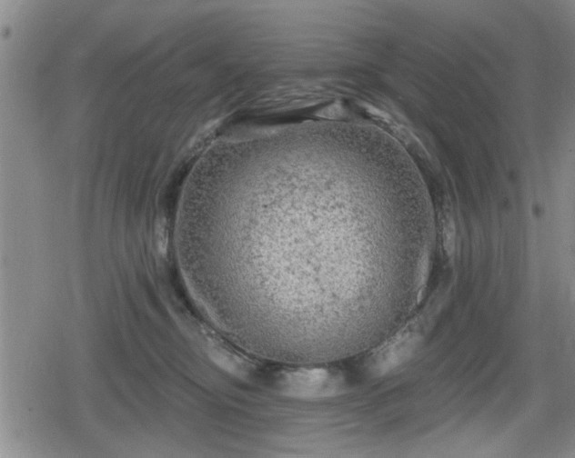 X0000080690374200612221058