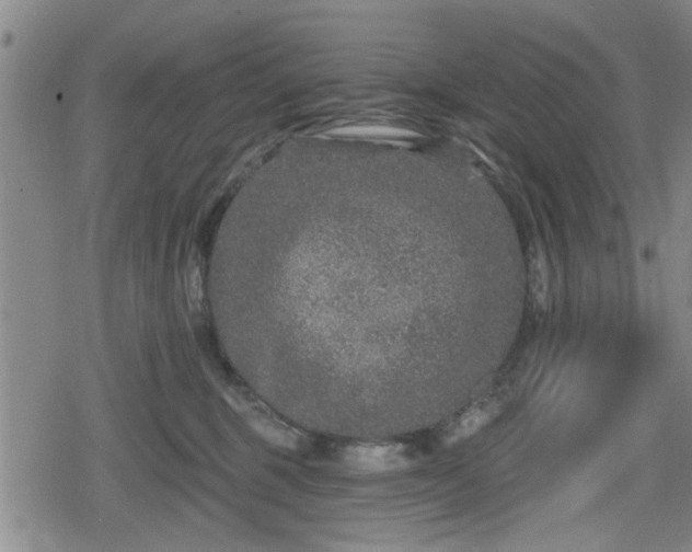 X0000080690375200612221058