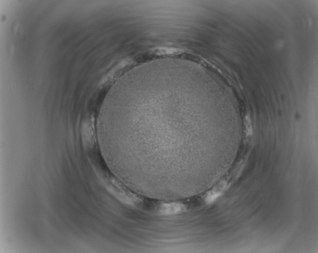 X0000080690376200612221059