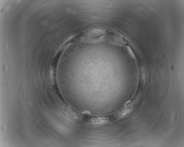 X0000080690378200612221059