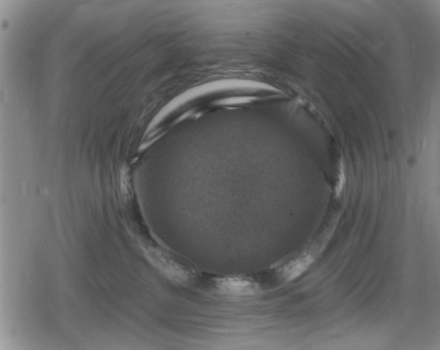 X0000080690380200612221059