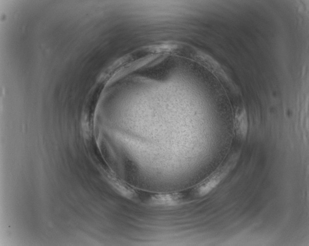 X0000080690381200612221059