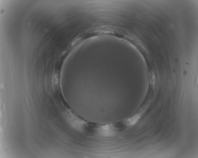 X0000080690382200612221059