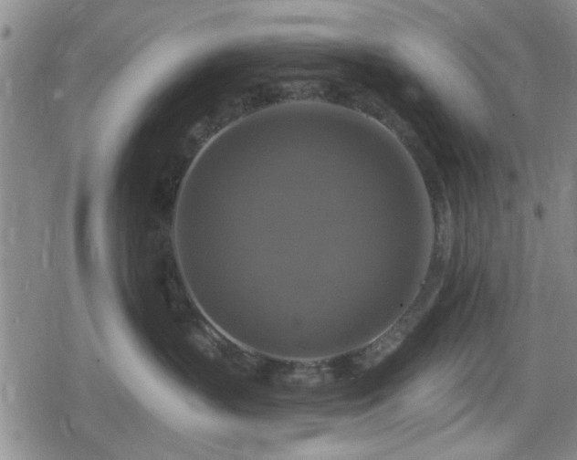 X0000080690383200612221059