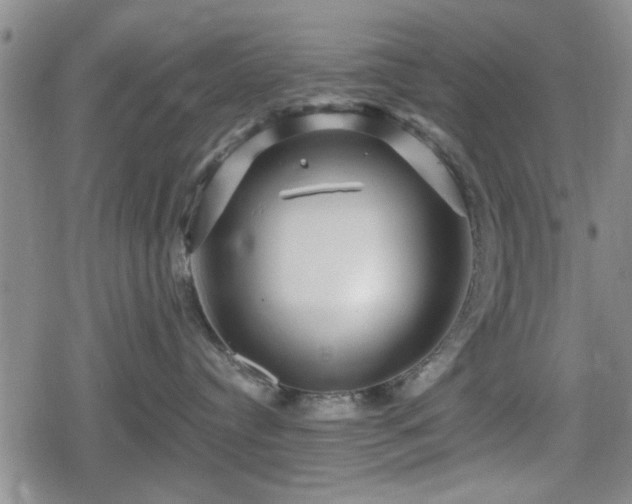 X0000080690384200612221059