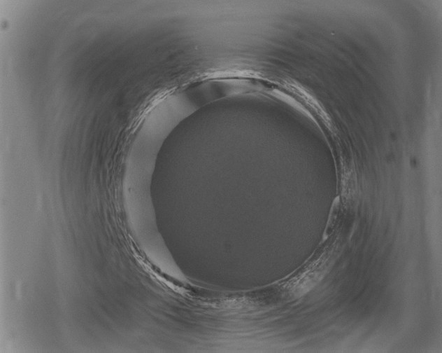 X0000080690385200612221058