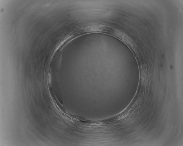 X0000080690386200612221058