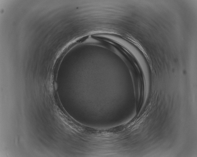 X0000080690387200612221058