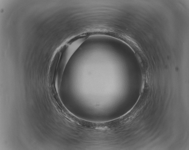 X0000080690388200612221058