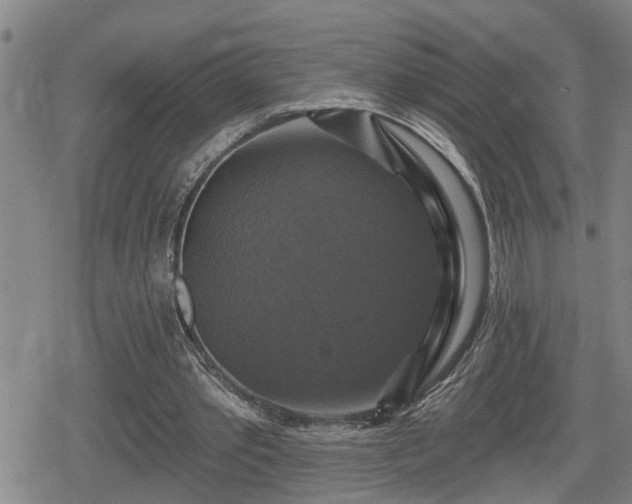 X0000080690389200612221058