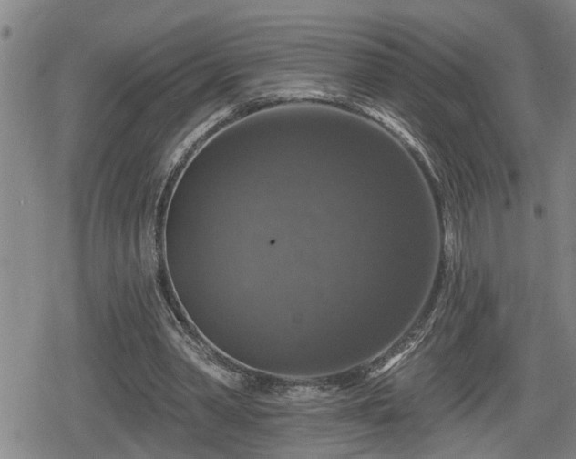 X0000080690390200612221058