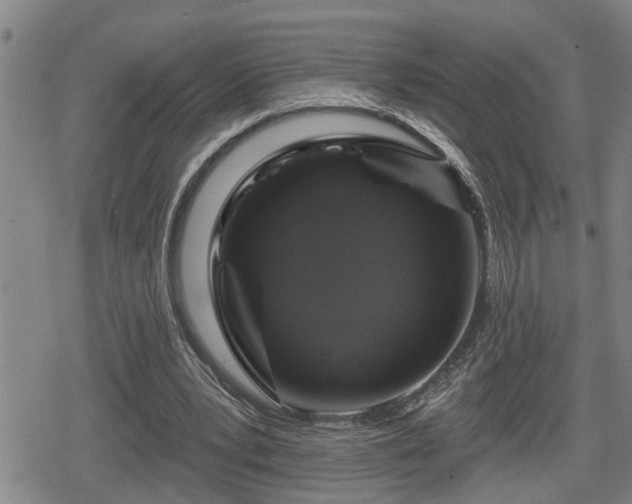 X0000080690391200612221058