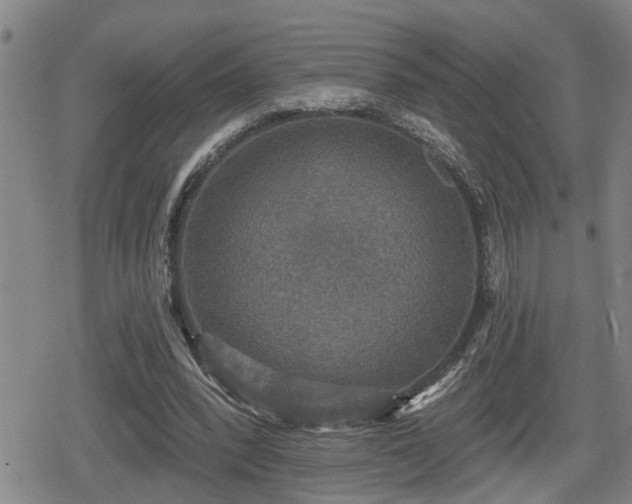 X0000080690392200612221058