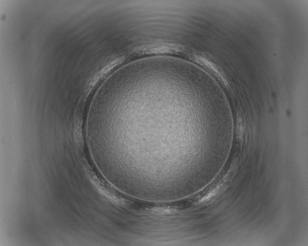 X0000080690394200612221058