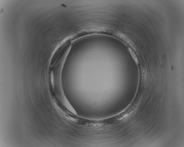 X0000080690395200612221058