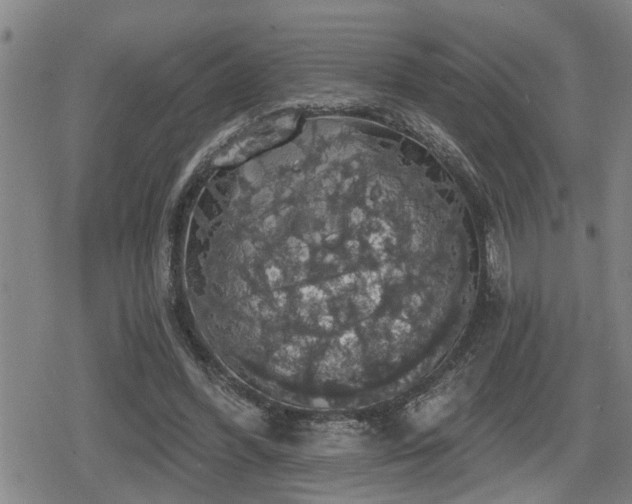 X0000080690396200612221058