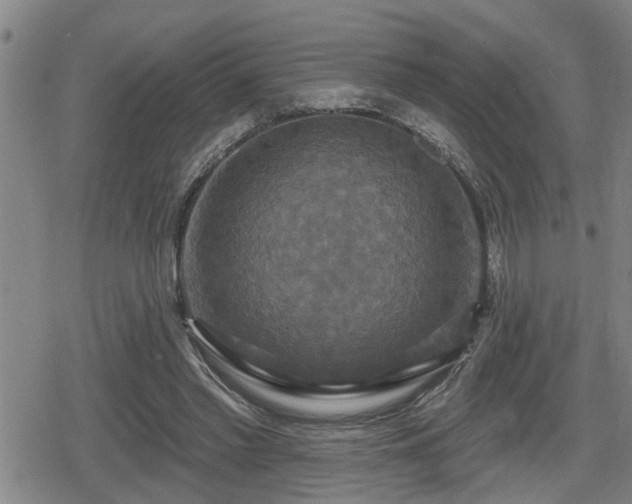 X0000080690397200612221058