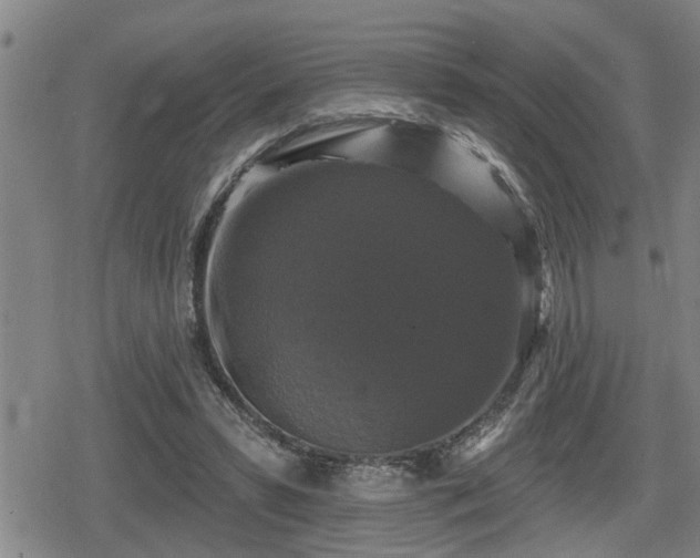 X0000080690399200612221058