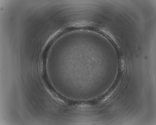 X0000080690400200612221058