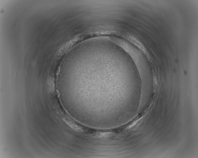 X0000080690401200612221058