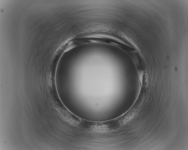 X0000080690403200612221058