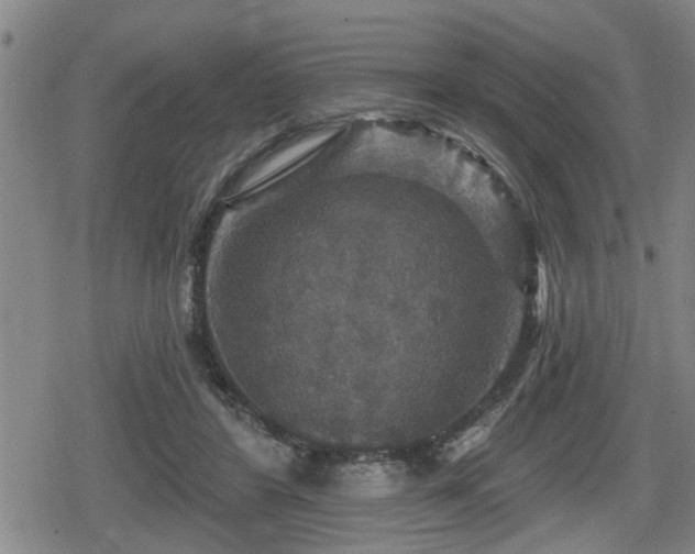 X0000080690404200612221058