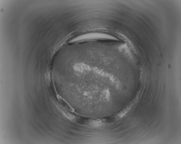 X0000080690405200612221058