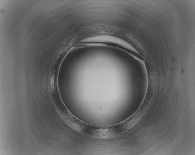 X0000080690406200612221058