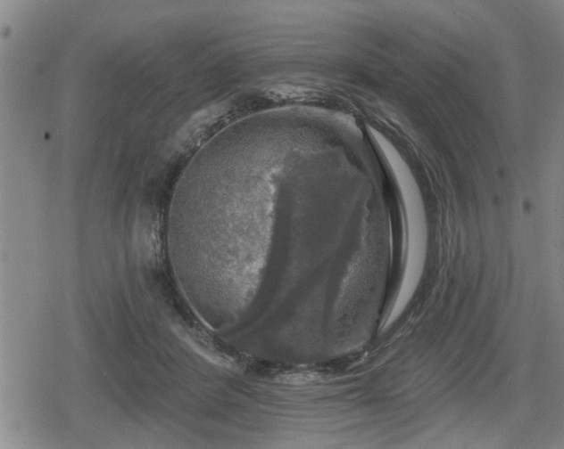 X0000080690408200612221057