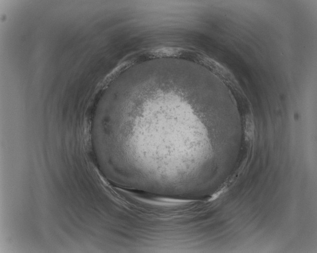 X0000080690409200612221057