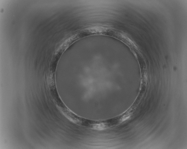 X0000080690411200612221057